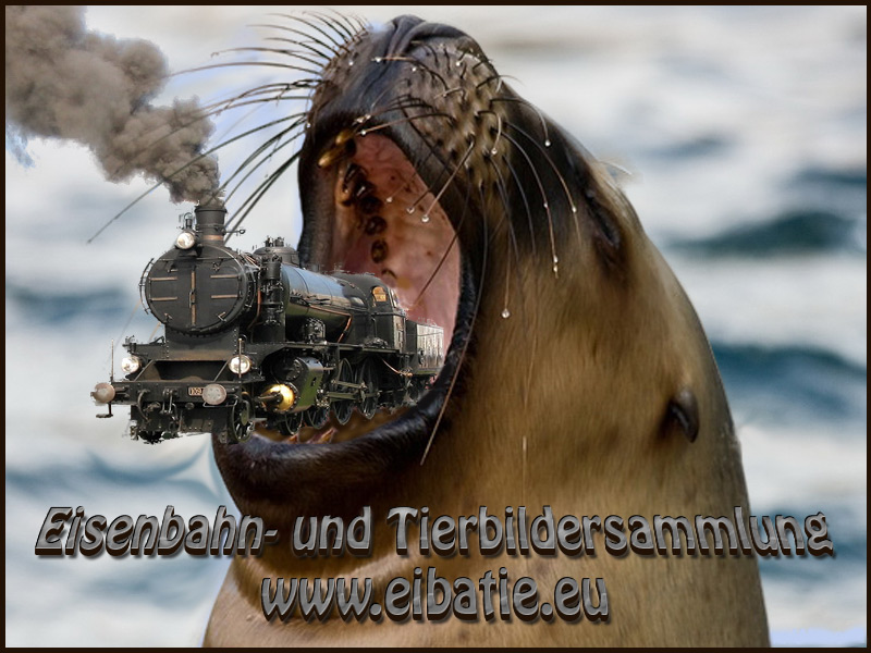 Zutritt zur Eibatie Bildersammlung